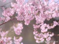 常州常裕商务信息咨询有限公司