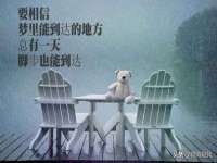 常州常裕商务信息咨询有限公司