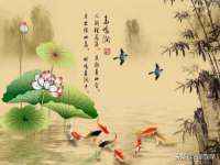 常州常裕商务信息咨询有限公司