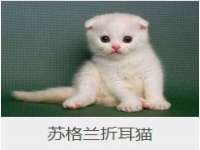 常州常裕商务信息咨询有限公司