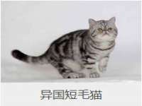 常州常裕商务信息咨询有限公司