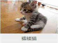 常州常裕商务信息咨询有限公司