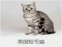 常州常裕商务信息咨询有限公司