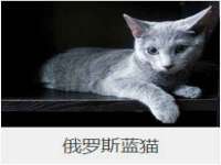 常州常裕商务信息咨询有限公司