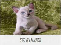 常州常裕商务信息咨询有限公司