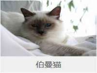 常州常裕商务信息咨询有限公司