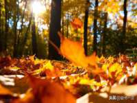 常州常裕商务信息咨询有限公司