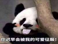 常州常裕商务信息咨询有限公司