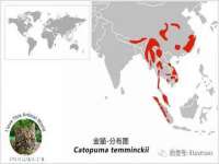 常州常裕商务信息咨询有限公司