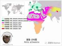 常州常裕商务信息咨询有限公司