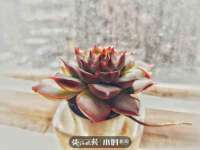 常州常裕商务信息咨询有限公司