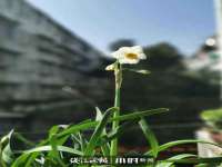 常州常裕商务信息咨询有限公司