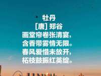 常州常裕商务信息咨询有限公司