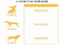 常州常裕商务信息咨询有限公司