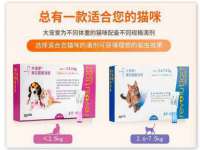 常州常裕商务信息咨询有限公司