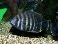 常州常裕商务信息咨询有限公司