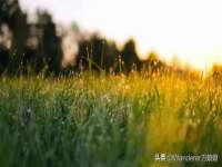 常州常裕商务信息咨询有限公司