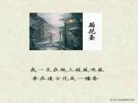 常州常裕商务信息咨询有限公司