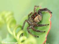 常州常裕商务信息咨询有限公司