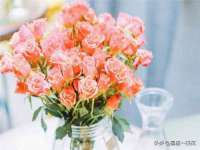 常州常裕商务信息咨询有限公司