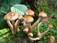 常州常裕商务信息咨询有限公司
