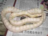 常州常裕商务信息咨询有限公司