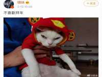 常州常裕商务信息咨询有限公司