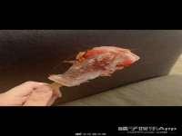 常州常裕商务信息咨询有限公司